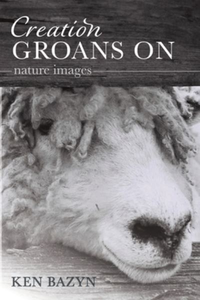 Cover for Ken Bazyn · Creation Groans On (Paperback Book) (2021)