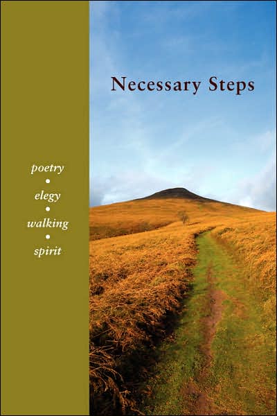 Cover for David Kennedy · Necessary Steps (Paperback Book) (2007)