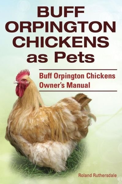 Cover for Roland Ruthersdale · Buff Orpington Chickens As Pets. Buff Orpington Chickens Owner?s Manual. (Paperback Book) (2014)