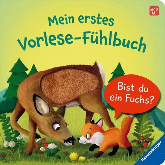 Cover for Orso · Mein erstes Vorlese-Fühlbuch: Bist (N/A)