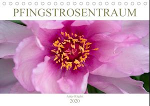 Cover for Kügler · Pfingstrosentraum (Tischkalender (Book)