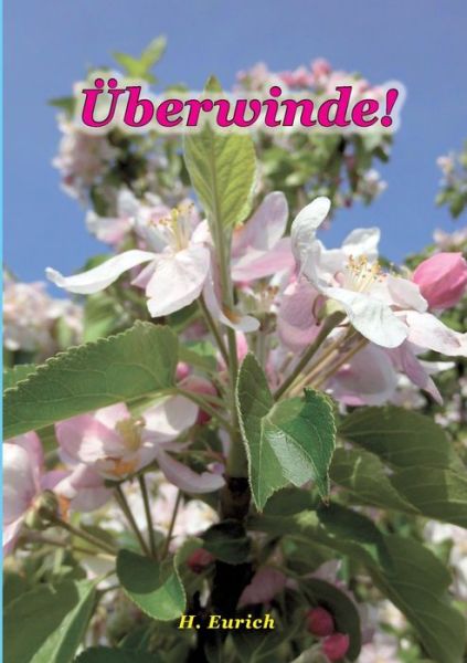 Cover for Harry Eurich · UEberwinde (Paperback Book) (2016)