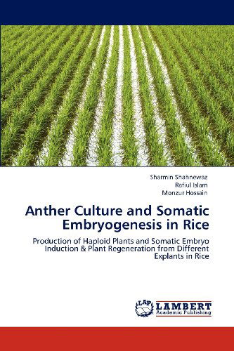 Cover for Monzur Hossain · Anther Culture and Somatic Embryogenesis in Rice: Production of Haploid Plants and Somatic Embryo Induction &amp; Plant Regeneration from Different Explants in Rice (Paperback Book) (2012)