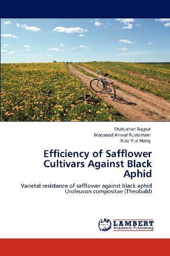 Cover for Xiao Yue Hong · Efficiency of Safflower Cultivars Against Black Aphid: Varietal Resistance of Safflower Against Black Aphid  Uroleucon Compositae (Theobald) (Paperback Bog) (2012)