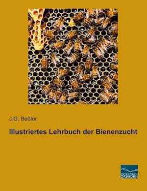 Cover for Beßler · Illustriertes Lehrbuch der Biene (Buch)