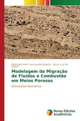 Cover for Pinto Francisquetti Bagatini Elisangela · Modelagem Da Migracao De Fluidos E Combustao Em Meios Porosos (Taschenbuch) (2015)