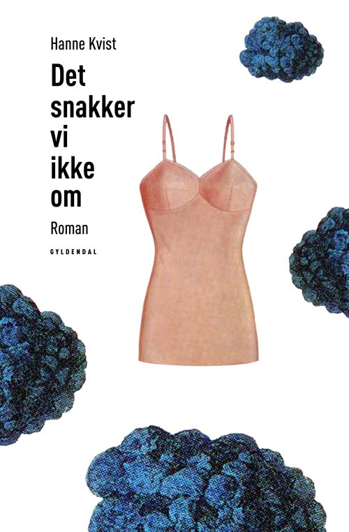 Cover for Hanne Kvist · Det snakker vi ikke om (Taschenbuch) [1. Ausgabe] (2011)