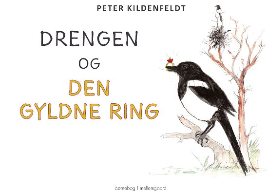 Cover for Peter Kildenfeldt · Drengen og den gyldne ring (Heftet bok) [1. utgave] (2023)