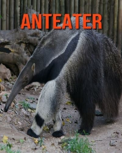 Cover for William Doyle · Anteater (Paperback Book) (2020)