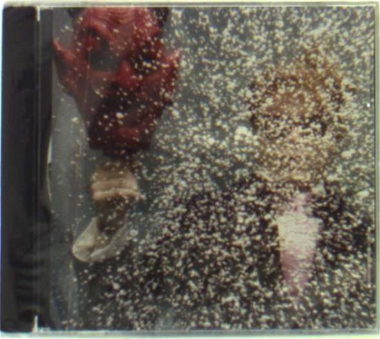 Cover for Ty Segall (CD) (2008)