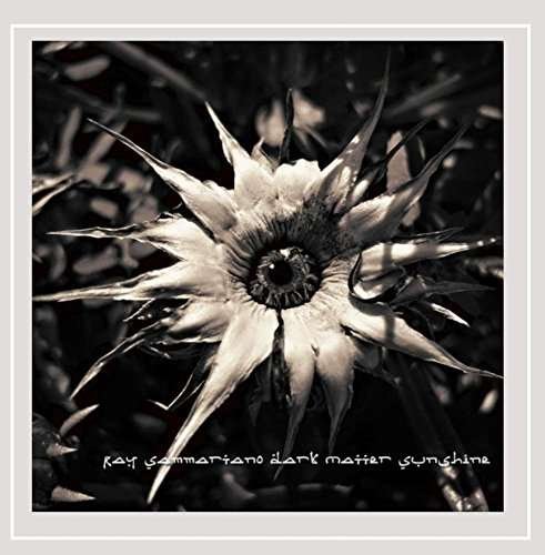 Cover for Ray Sammartano · Dark Matter Sunshine (CD) (2014)