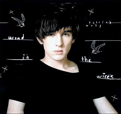 Cover for Patrick Wolf · Wind in the Wires (LP) (2008)