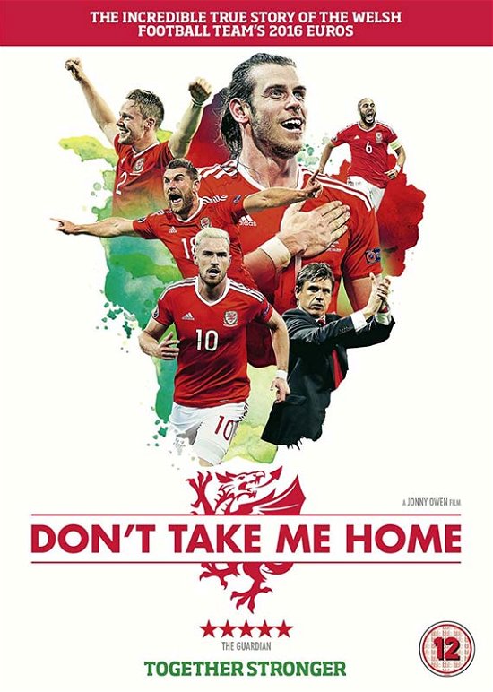 Cover for Dont Take Me Home (DVD) (2017)