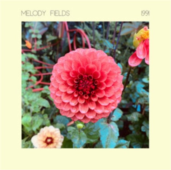 Cover for Melody Fields · 1991 (LP) (2023)