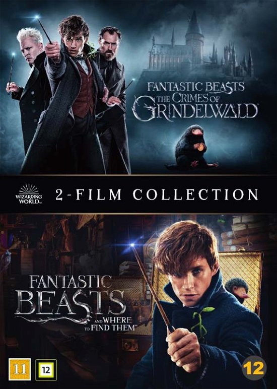 Cover for Wizarding World · Fantastic Beasts 1-2 (DVD) (2019)