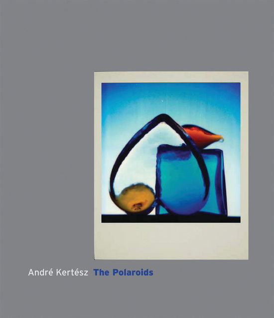 Cover for Andre Kertesz · Andre Kertesz: The Polaroids (Hardcover Book) (2007)