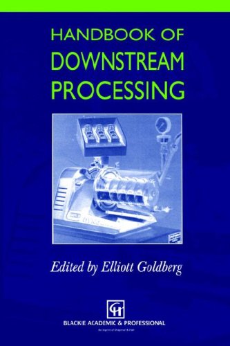 Cover for E. Goldberg · Handbook of Downstream Processing (Hardcover Book) [1997 edition] (1996)