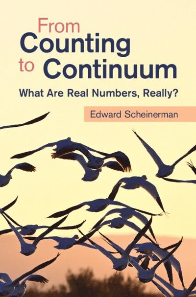 From Counting to Continuum: What Are Real Numbers, Really? - Scheinerman, Edward (Johns Hopkins University) - Bücher - Cambridge University Press - 9781009538640 - 12. Dezember 2024