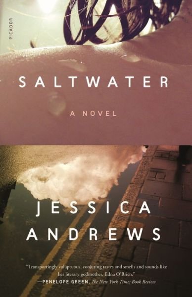 Cover for Jessica Andrews · Saltwater: A Novel (Taschenbuch) (2021)
