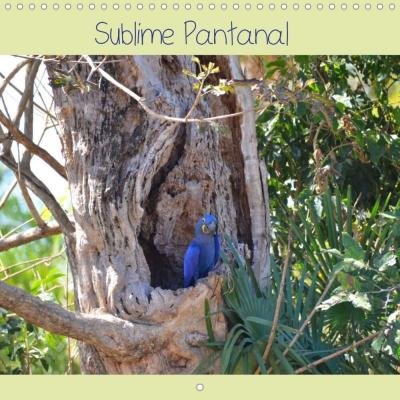 Cover for Emmanuelle · Sublime Pantanal (Calendrier (Bog)