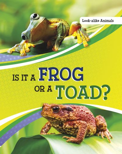 Cover for Susan B. Katz · Is It a Frog or a Toad? - Look-Alike Animals (Taschenbuch) (2023)