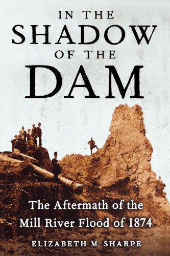 Cover for Elizabeth M. Sharpe · In the Shadow of the Dam: the Aftermath of the Mill River Flood of 1874 (Taschenbuch) (2007)