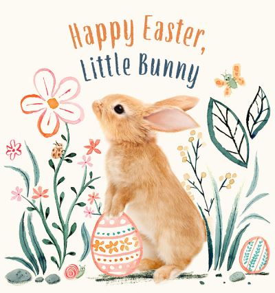 Cover for Amanda Wood · Happy Easter, Little Bunny (Board book) (2023)