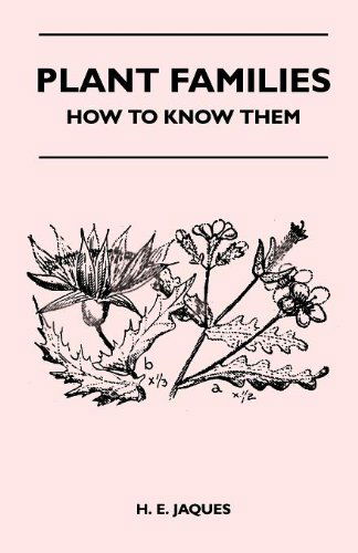 Plant Families - How to Know Them - H. E. Jaques - Books - Lowe Press - 9781446508640 - November 12, 2010