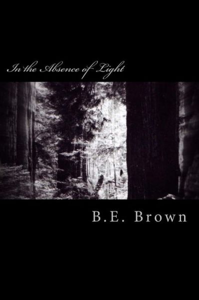 Cover for B E Brown · In the Absence of Light (Taschenbuch) (2011)