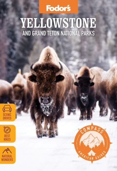 Cover for Fodor's Travel Guides · Fodor's Compass American Guides: Yellowstone and Grand Teton National Parks: Yellowstone and Grand Teton National Parks - Full-color Travel Guide (Paperback Book) (2021)