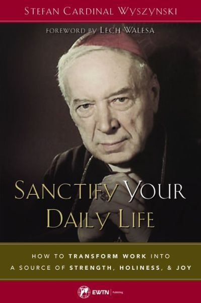 Cover for Stefan Wyszyanski · Sanctify Your Daily Life (Paperback Book) (2018)