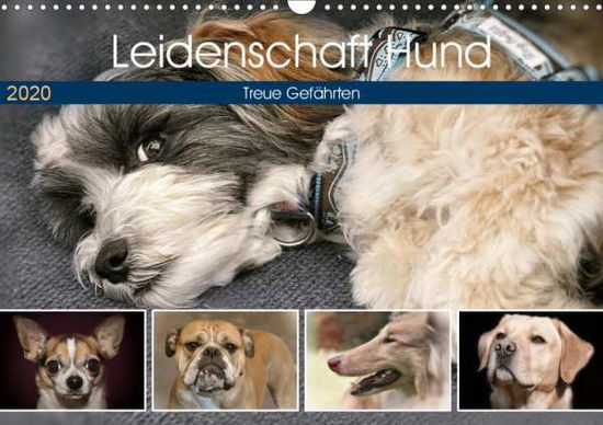 Leidenschaft Hund (Wandkalen - Metternich - Books -  - 9783670866640 - 