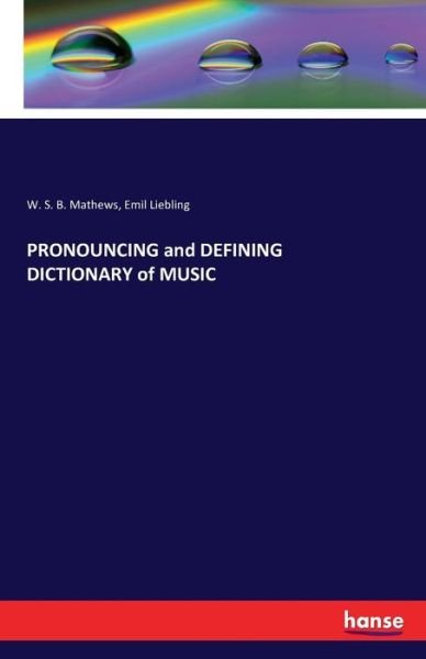 Cover for W S B Mathews · PRONOUNCING and DEFINING DICTIONARY of MUSIC (Paperback Book) (2016)