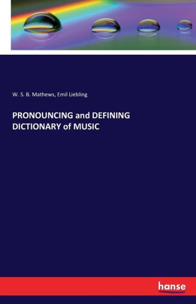 Cover for W S B Mathews · PRONOUNCING and DEFINING DICTIONARY of MUSIC (Paperback Book) (2016)