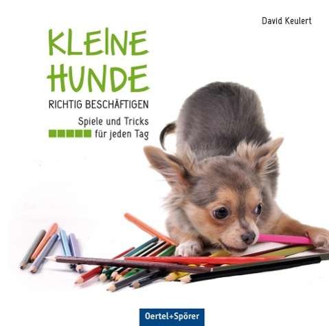 Kleine Hunde richtig beschäftig - Keulert - Bücher -  - 9783886278640 - 