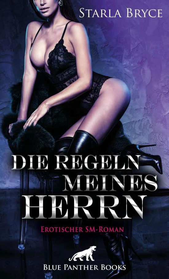 Cover for Bryce · Die Regeln meines Herrn Erotische (Book)