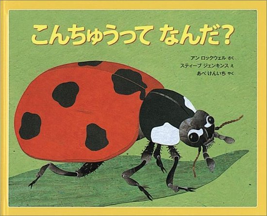 Cover for Anne Rockwell · Bugs Are Insects (Inbunden Bok) (2009)