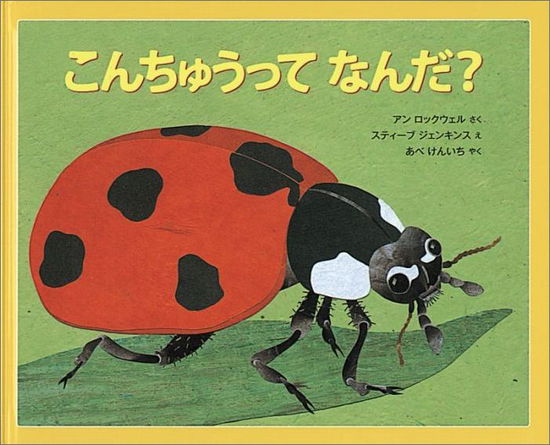 Bugs Are Insects - Anne Rockwell - Books - Fukuinkan Shoten/ Tsai Fong Books - 9784834023640 - June 1, 2009