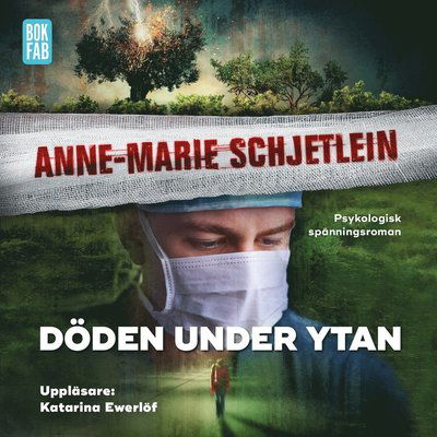 Andreas Nylund: Döden under ytan - Anne-Marie Schjetlein - Äänikirja - Bokfabriken - 9789178351640 - perjantai 26. heinäkuuta 2019