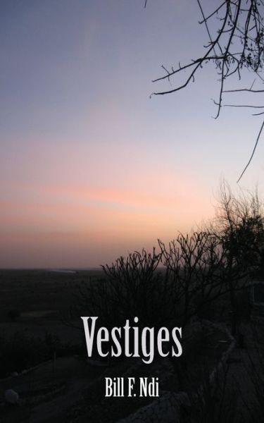 Cover for Bill F. Ndi · Vestiges (Paperback Book) (2013)