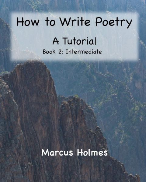 Cover for Marcus Holmes · How to Write Poetry (Paperback Book) (2020)