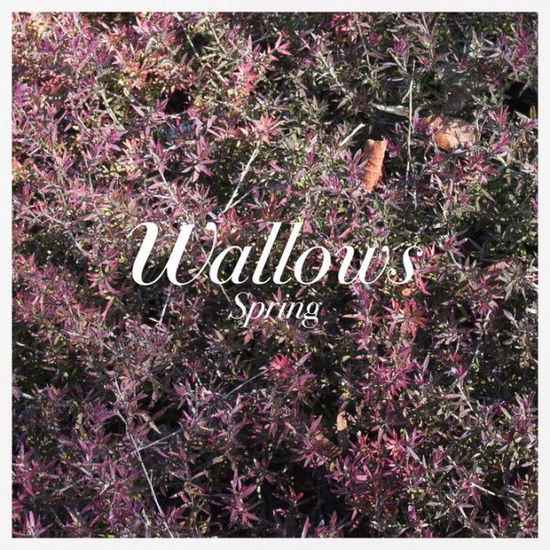 Wallows · Spring (LP) [Coloured edition] (2018)