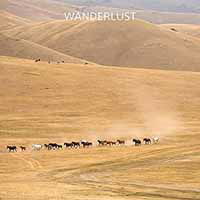 Cover for Wanderlust (CD) (2017)