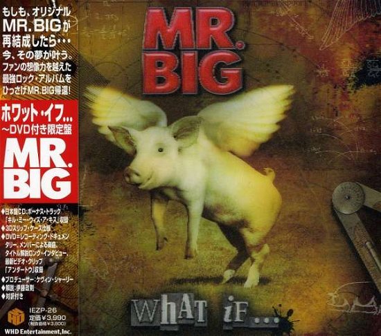 Cover for Mr. Big · What If (CD) [Ntsc 0, 3d edition] (2010)