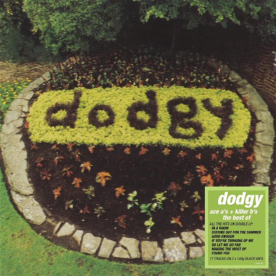 Cover for Ace As and Killer Bs Dodgy · Ace A's and Killer B's - Dodgy (VINYL)