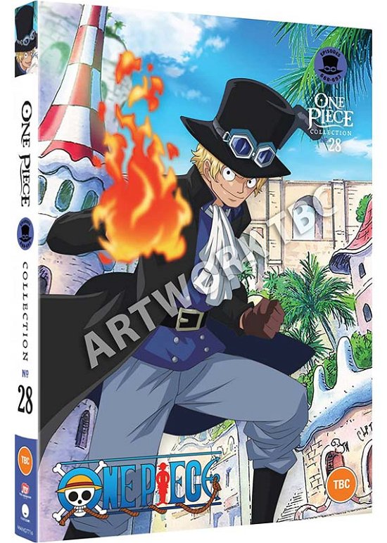 Cover for Anime · One Piece: Collection 28 (DVD) (2022)