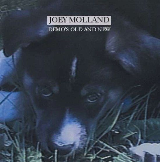 Cover for Joey Molland · Demo's Old And New (CD) (2015)