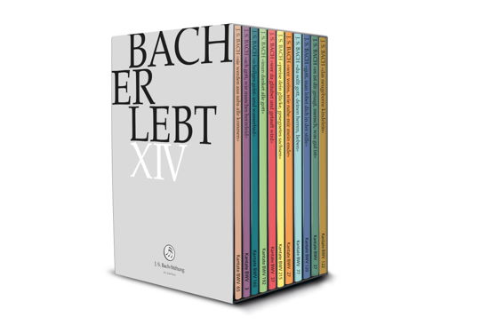 Cover for Choir &amp; Orchestra Of The J.S. Bach Foundation / Rudolf Lutz · Bach Erlebt Xiii (DVD) (2022)