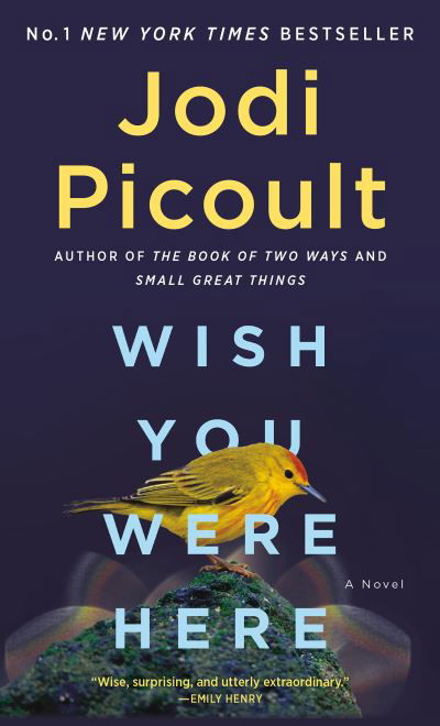 Cover for Jodi Picoult · Wish You Were Here (Paperback Book) (2022)
