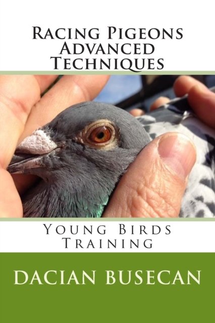 Cover for Dacian Busecan · Racing Pigeons Advanced Techniques (Paperback Bog) (2014)